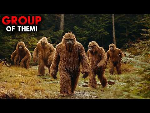 BIGFOOT Caught on Camera in the WILD | Trail Cam Shocker!