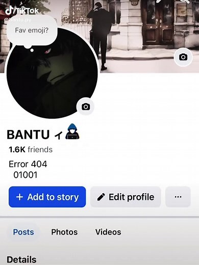 Understanding Facebook Friend Profiles and Updates