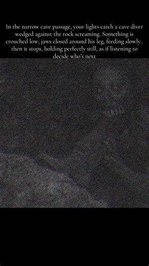 #fyp #horrortok #analog #viraltiktok #night | HorrorTok