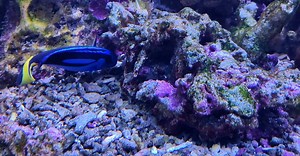 Video by Sun452   on Pexels