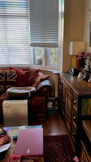 Tiger #reelsviralfb #catlovers #kitty #tiger #bengel #snowspotted | Tiger the bengal cat