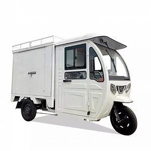 [Hot Item] Saige Bike 3 Wheel Electric Tricycle with Large Cargo Box for Exp