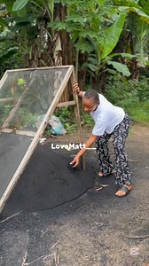 2M views · 10K reactions | Become a bîllionaire selling kernel shell . Wàtch höw tö export ön mÿ YouTube link is on my comment section. | Lovematt | Facebook