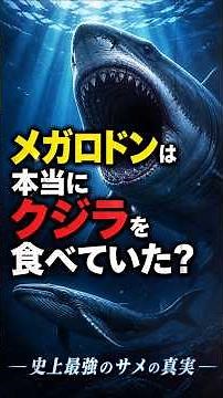 メガロドンは本当にクジラを食べていた？海の怪物の意外な真実 #古代生物 #古代生物 #雑学