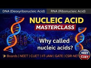 Introduction to Nucleic Acids | DNA & RNA Basics || Nucleic Acids Biology || #ShravansBioTalks