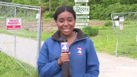 Federal cuts impact Kansas City-area farming program