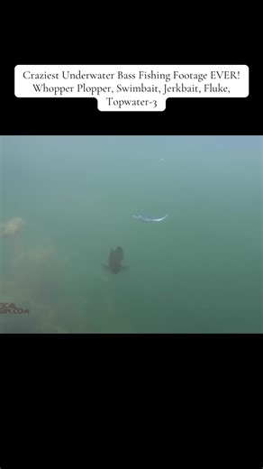 Unbelievable Underwater Bass Fishing Footage