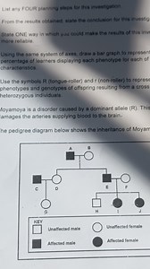 List any FOUR planning steps for this investigation.From the r... | Filo