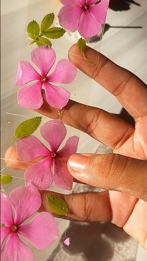 flower bookmaker 🌷