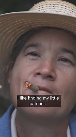 The OG Way of Growing Weed 🌱 | Legacy Cannabis in Humboldt