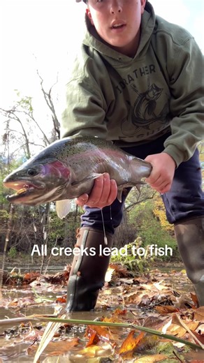 All Creeks Lead to Fish: Master Fly Fishing Tips
