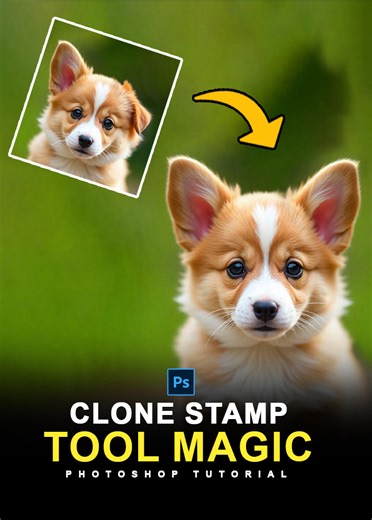 Clone Stamp Tool Magic - Photoshop Shorts Tutorial #clonestamp #clonestamptool ##photoshoptutorial #photoshopshorts | Graphics Solution Tricks