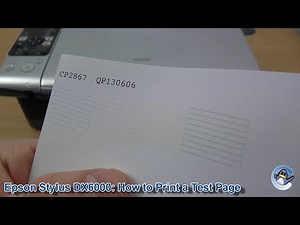 Epson Stylus DX6000: How to Print a Nozzle Check Test Page
