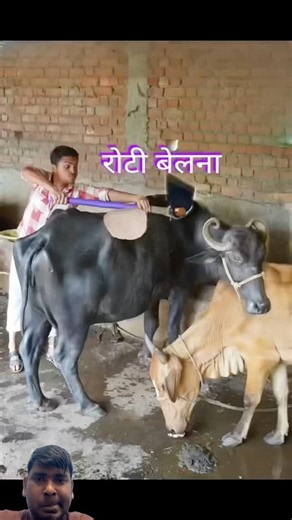 Top Learning Toolsfor Tech🔥 Enthusiasts# shorts #shortsfeed #viralshorts🔥🙏