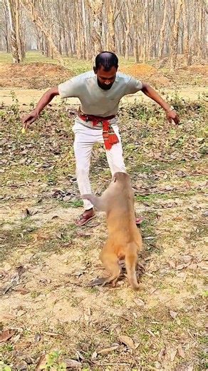 monkey video 😄😄🐒