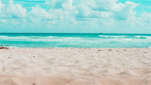 25 Tourist Spots in Florida That Are Becoming Too Expensive