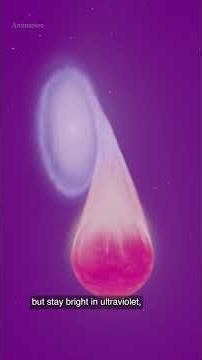 HUBBLE DISCOVERS A RARE ULTRAMASSIVE WHITE DWARF