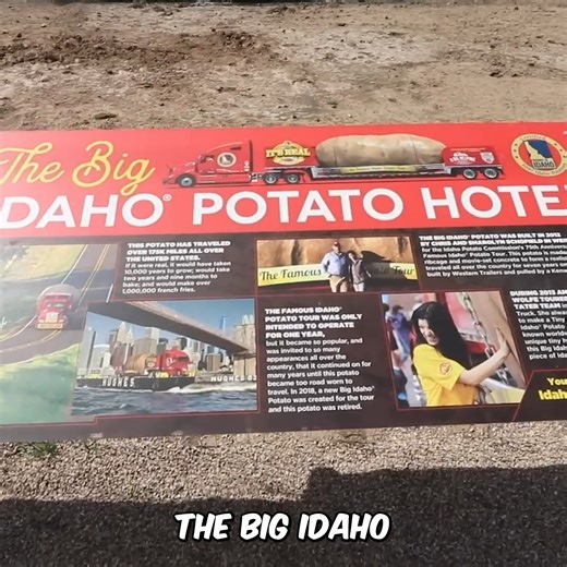 11K views · 159 reactions | The World’s Largest Potato… Is an Airbnb?! | Ryan Trahan | Facebook