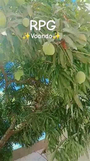 #aesthetic #fadas #fadinhas #fyy #rpg #duet #preppy