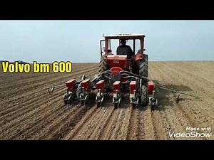 Semis et récolte de betteraves 2019 à l'ancienne.