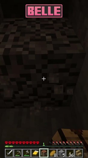 fake happiness #shorts #minecraft #modded