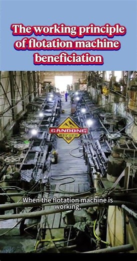 Flotation Machine Working Principle | Mineral Processing Equipment