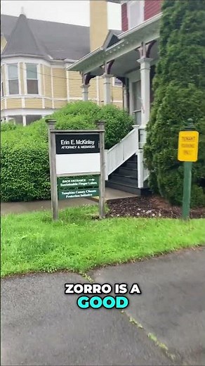 Z Words for Kids: Zoe, Zev, and Zorro!