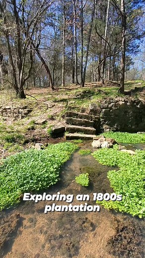 Stunning. The steps lead right in to the ancient spring. #naturalspring #ancient #history #watercress #beautifulplaces #exploregeorgia #forgottenplaces #Antebellum #1800s #oldhouse #discovery #crystalclearwater | Zach Byrd Adventure Hour
