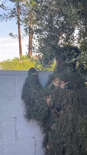 Protective father in action Wes & Alison share a comedy skit about parenting. This original video was produced by Network Media, Wes and Alison. | Life With Wes & Alison