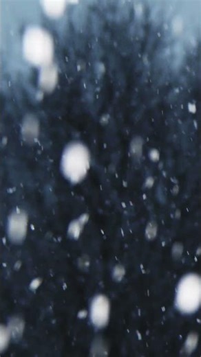 Falling Snow with Music ❄️ Pure Calm in Seconds