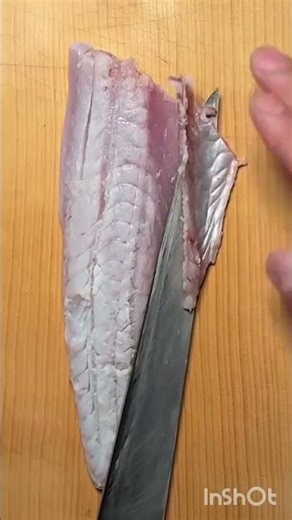 Unbelievable Fish cutting | ASMR SOUND 🎧😱 #asmr #fillet #fish #asmrshorts #asmrcutting #fishfillet