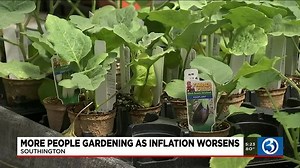More people gardening as inflation rises