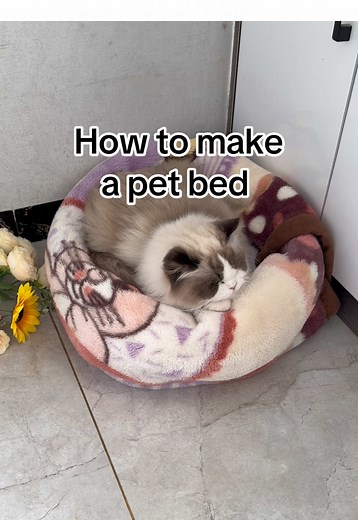 How to Make a Comfortable Pet Bed for Cats