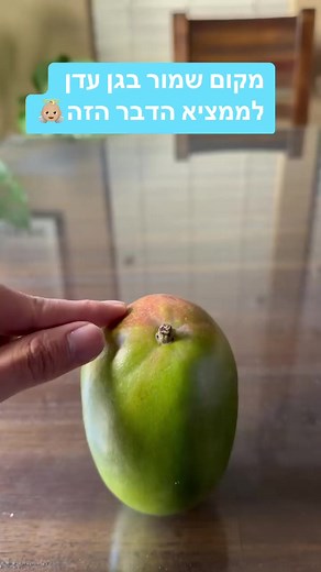 סלייסר מושלם למנגו🥭 | עולם של גאדג'טים - GadgetLand