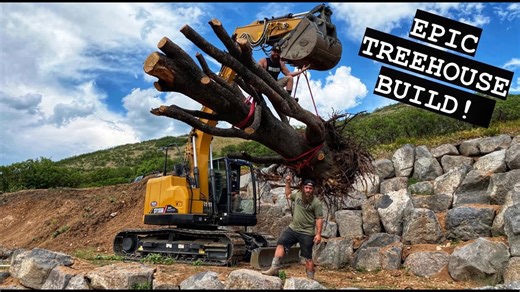 A doomed giant tree is saved from the wood chipper