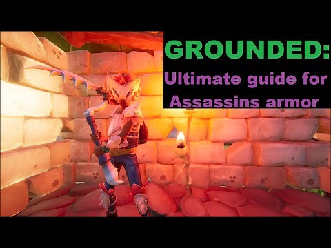 Grounded: How to get Assassin armor.