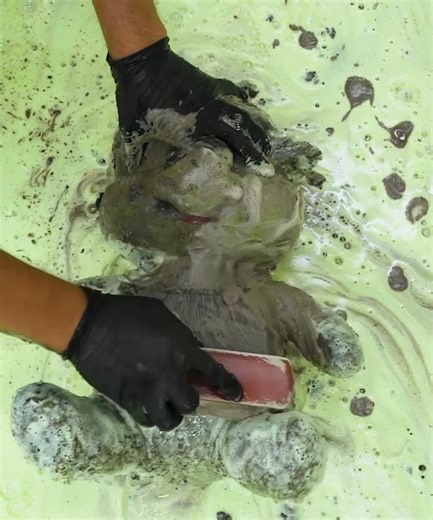 39K views · 469 reactions | 4 Satisfying Cleanings in One Video ✨ | So Clean | Facebook