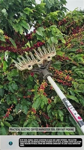 Practical Electric Coffee Harvester tool for fast picking #tools