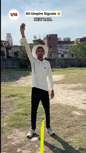 ALL UMPIRE SIGNALS 😳🏏
