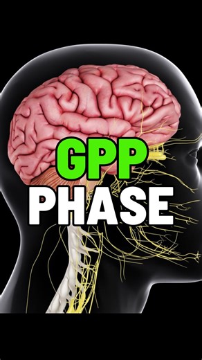 Quintin - Sports Performance Specialist on Instagram: "Nervous System Training podcast on YouTube The way I program athletes starts with assessment, not guesswork. Every area is scored, and the weakest systems get addressed first because that’s how you create fast change instead of waiting weeks for adaptation. When you fix the bottlenecks early, you can see real improvements in 48–72 hours, not two or three weeks later. If an athlete shows clear red flags—like underperforming hamstrings or poor