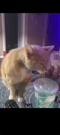 cumm (@cumm_in_me_)’s videos with original sound - cumm