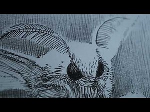 The Silk Road | Trailer