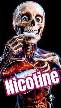 Your Brain on Nicotine #nicotinepouches