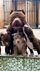 Ingrid De Sousa on Reels