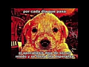 por cada día que pasa el apocalipsis deja de ser un miedo / plantilla / meme