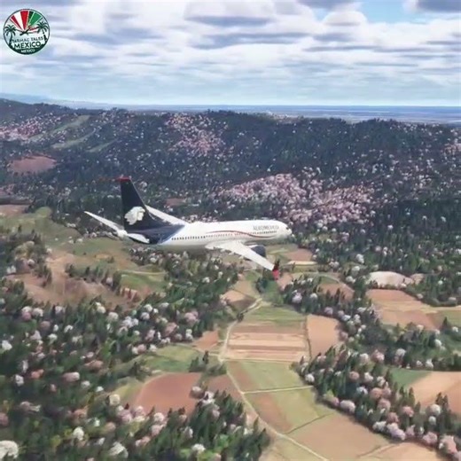 That heartbreaking moment pilots never forget #flightsimulator #aviation #shorts