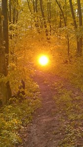 2K views · 3.5K reactions | I saw a run  | Ufo Ufos | Facebook