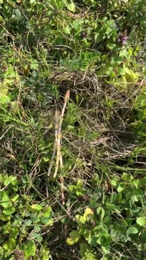 [You were all here, weren't you?]