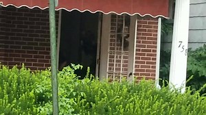 From ACNTF: On July 31, 2019 members of the Allegany County Narcotics Task Force, with the assistance of the Allegany County Sheriff’s Office, Maryland State Police Gang Enforcement Unit, Garrett County Narcotics Task Force, Maryland State Police Cumberland Barrack, Cumberland Police Department and Cumberland Police Department’s C.E.R.T. executed a search and seizure warrant in the 700 block of Fayette Street, Cumberland, MD. The search and seizure warrant was a result of a month-long CDS invest