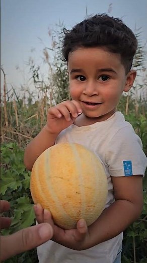 الكوري لكة بطيخة 🍈 🍉